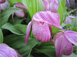 2011.6.3c.jpg