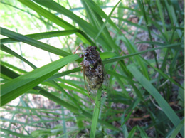 2011.6.6.jpg