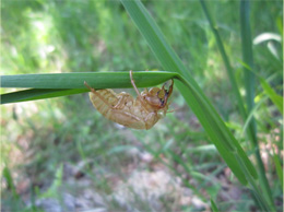2011.6.6a.jpg