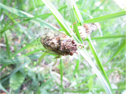 2011.6.6b.jpg